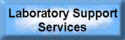 Laboratory Support Services